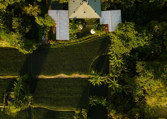 Gruen Resort Ubud (Bali)